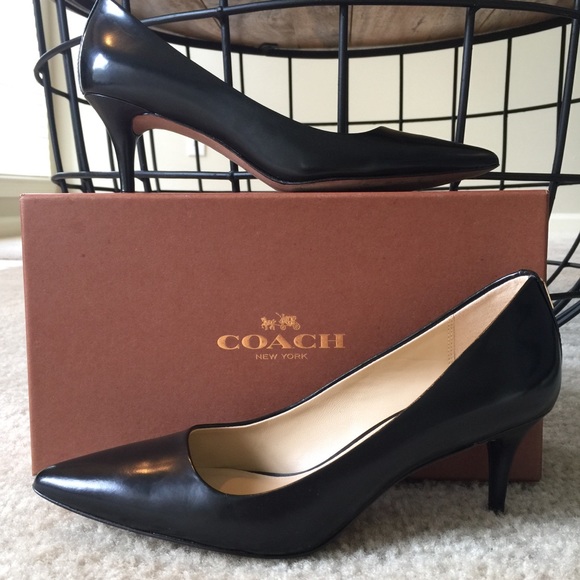 coach kitten heel pumps